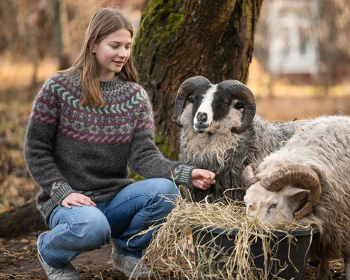 Stormskär by Johanna Vaurio-Teräväinen (FI EN) - Ohjeet Johannavauknits